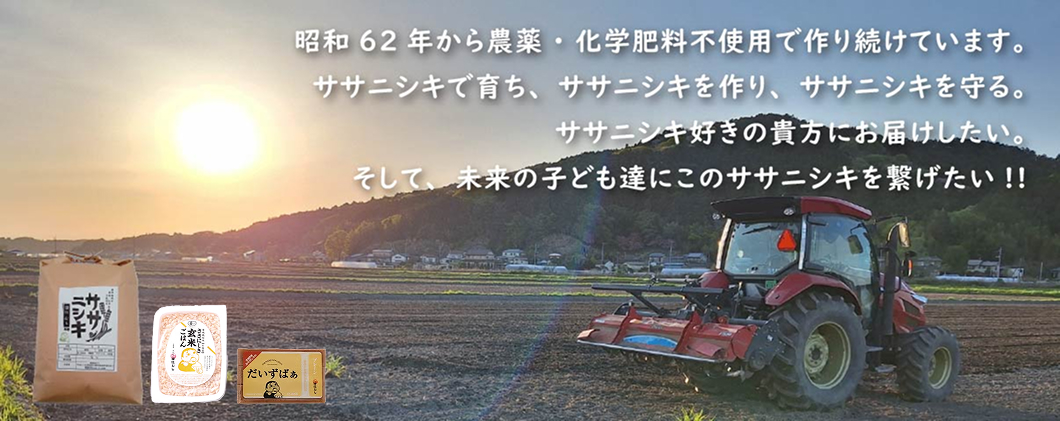 子供たちに安心して食べさせられるお米を作りたいから、田伝むしのお米は完全無農薬です。