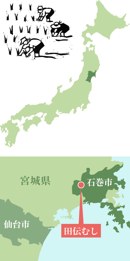 田伝むしがお米を作っている石巻市