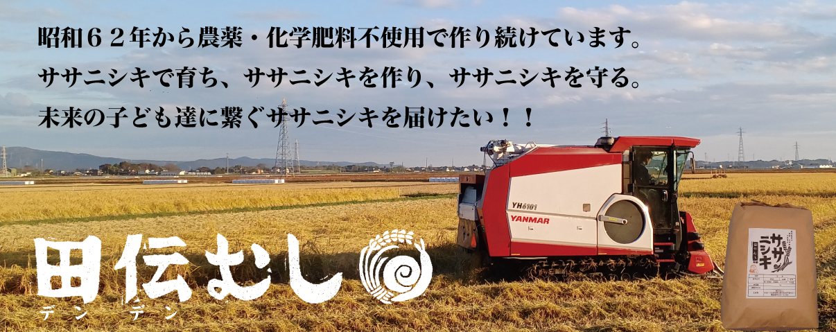 子供たちに安心して食べさせられるお米を作りたいから、田伝むしのお米は完全無農薬です。