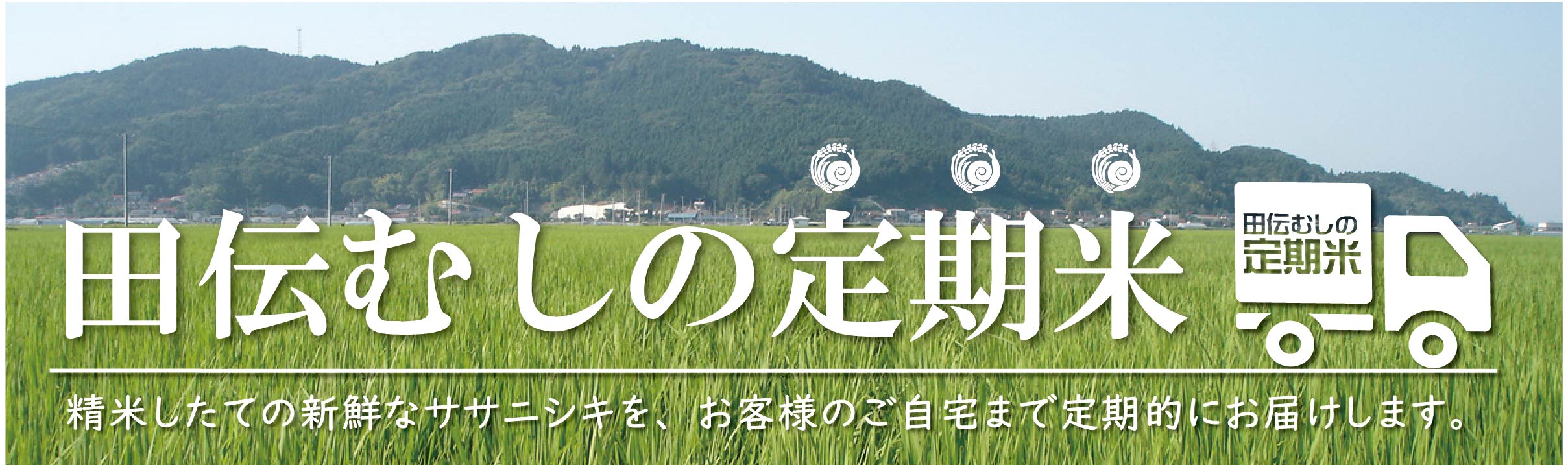 お米の定期便について