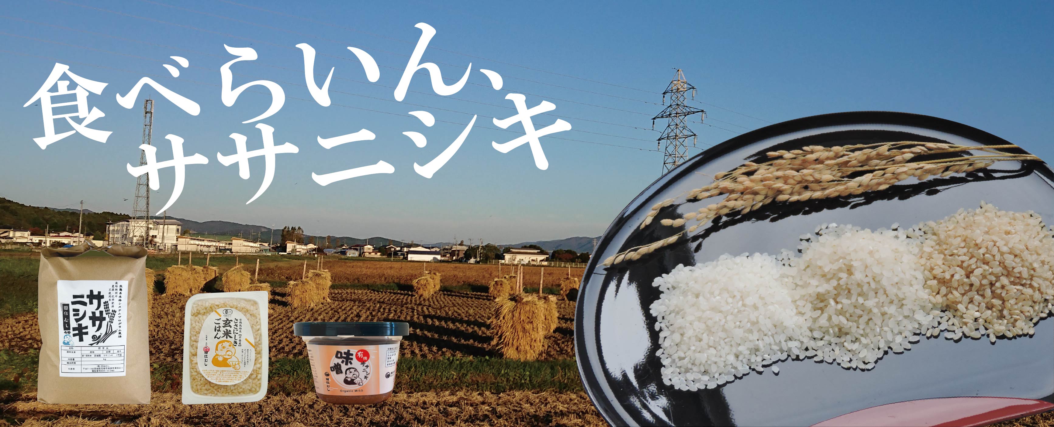 子供たちに安心して食べさせられるお米を作りたいから、田伝むしのお米は完全無農薬です。