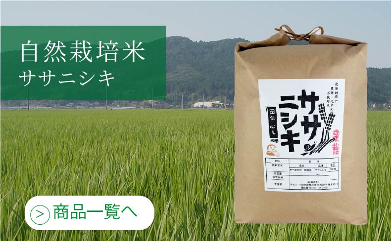無肥料自然栽培米　ササニシキ