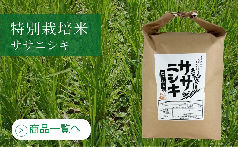 特別栽培米　ササニシキ