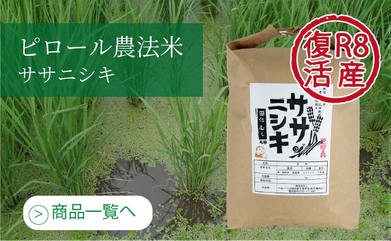 ピロール農法米　ササニシキ