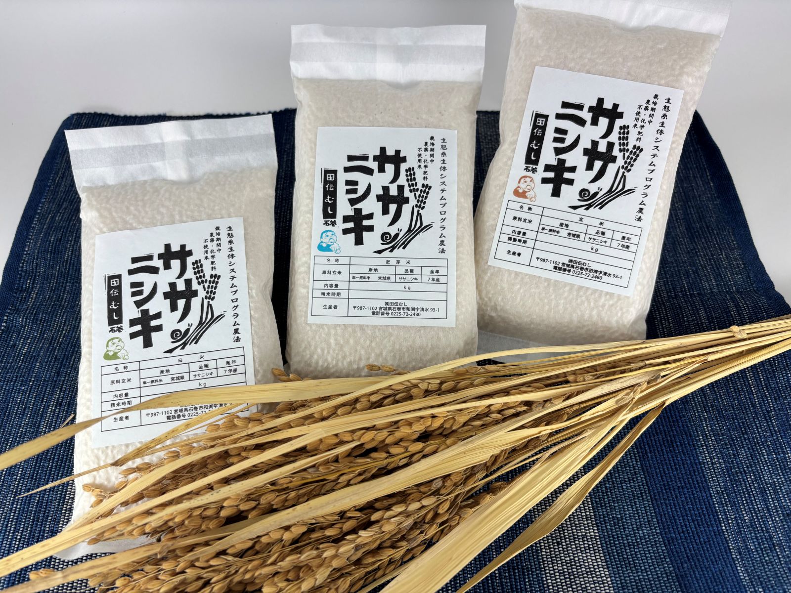 ササニシキ専門店｜無農薬・自然栽培米なら《公式》田伝むし
